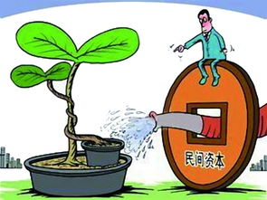 社會資本給力文化產業(yè)與社會經濟咨詢服務